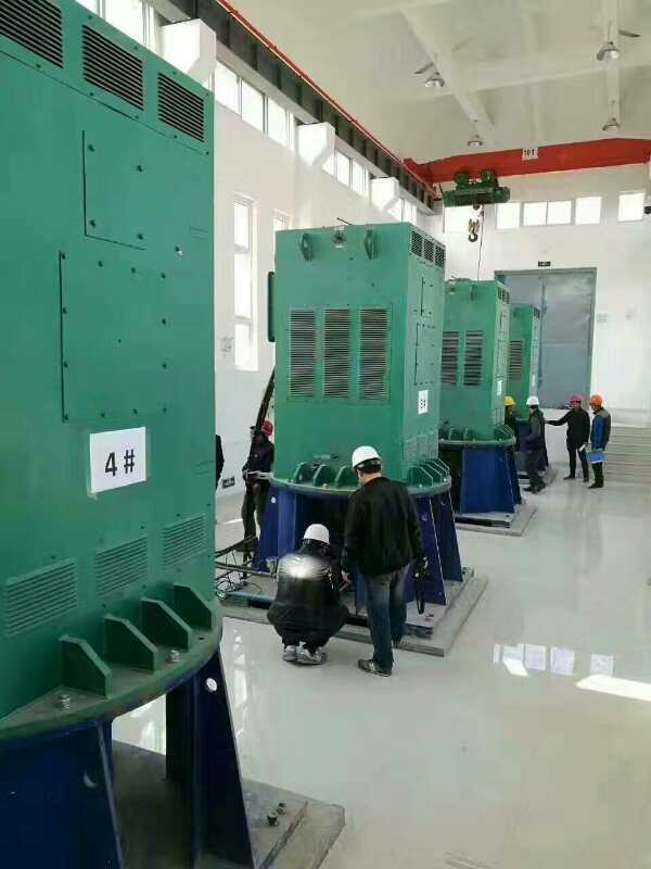 阿瓦提某污水处理厂使用我厂的立式高压电机安装现场