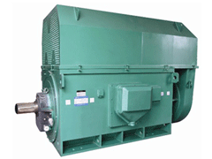 阿瓦提Y系列6KV高压电机